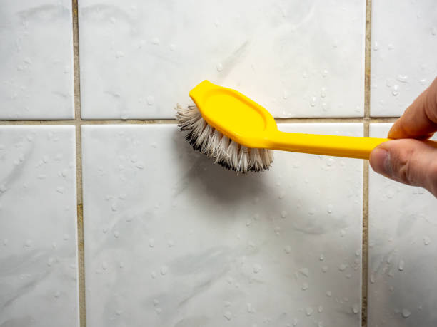 Best Emergency Mold Removal  in Lakeland, MN