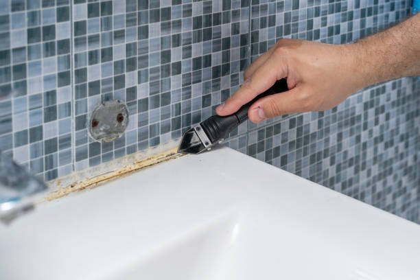 Best Commercial Mold Removal  in Lakeland, MN